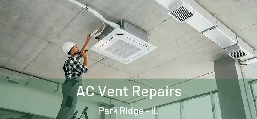  AC Vent Repairs Park Ridge - IL