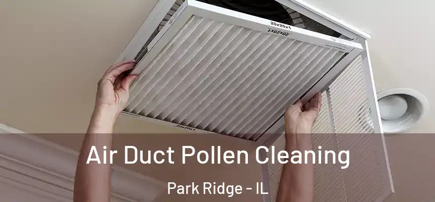  Air Duct Pollen Cleaning Park Ridge - IL