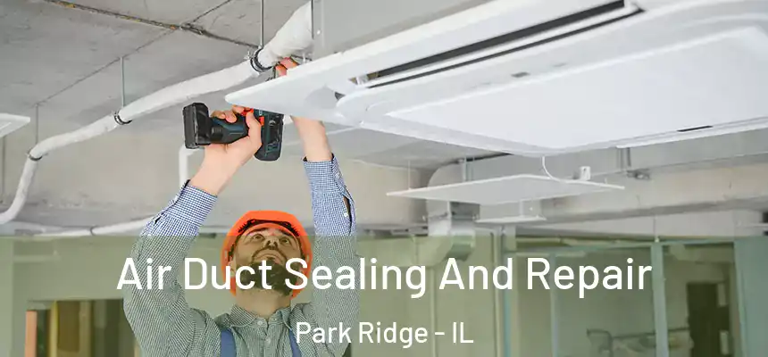  Air Duct Sealing And Repair Park Ridge - IL