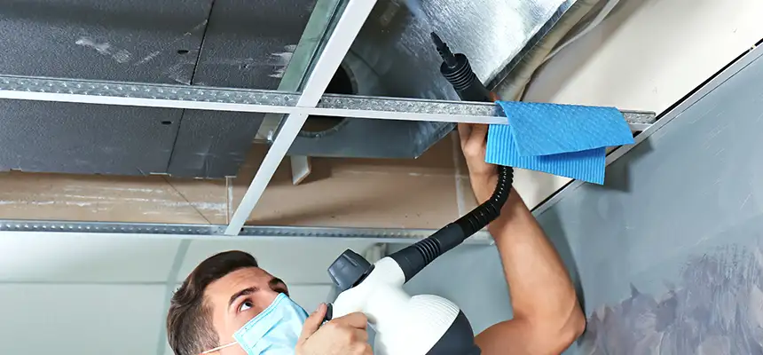 Our Air Duct Rodent Removal Services in Park Ridge, IL