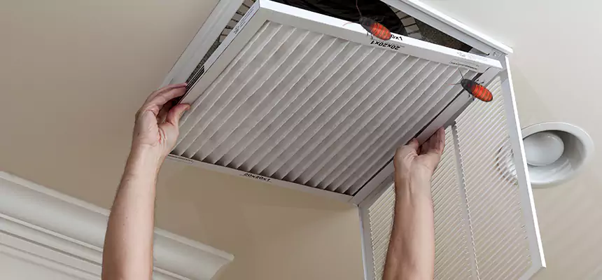 Our Insect Removal from Air Ducts Services in Park Ridge, IL