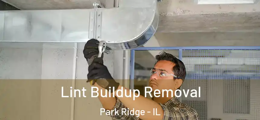  Lint Buildup Removal Park Ridge - IL