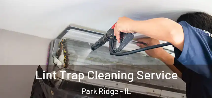  Lint Trap Cleaning Service Park Ridge - IL