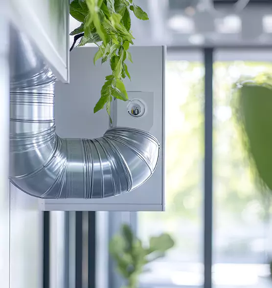 Professional Eco-Safe Dryer Vent Cleaning in Park Ridge, IL