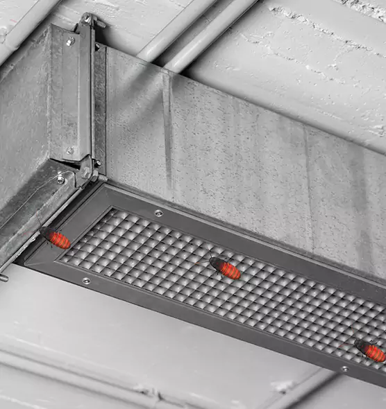 Affordable Insect Removal from Air Ducts in Park Ridge, IL