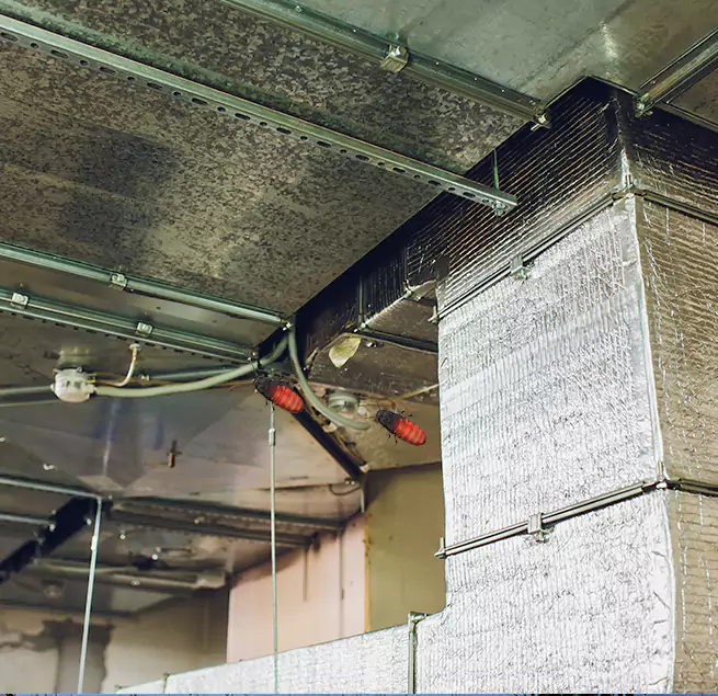 Why Homeowners & Businesses Trust Us in Park Ridge, IL?