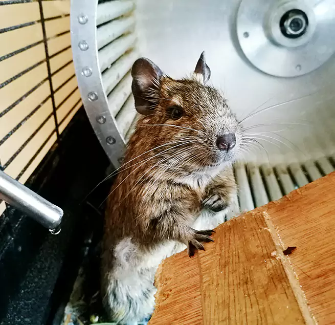 Why Homeowners & Businesses Trust Us Park Ridge, IL?