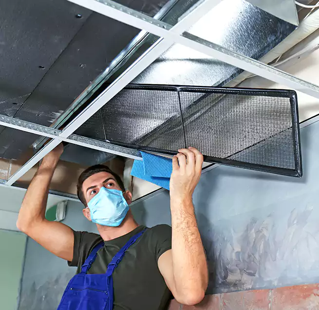 Why Homeowners Businesses Trust Us in Park Ridge, IL