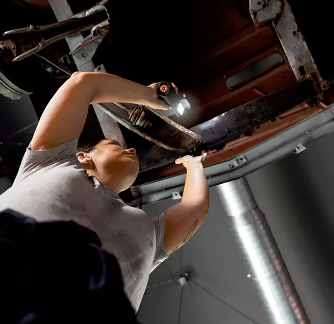 Why Homeowners & Businesses Trust Us Park Ridge, IL