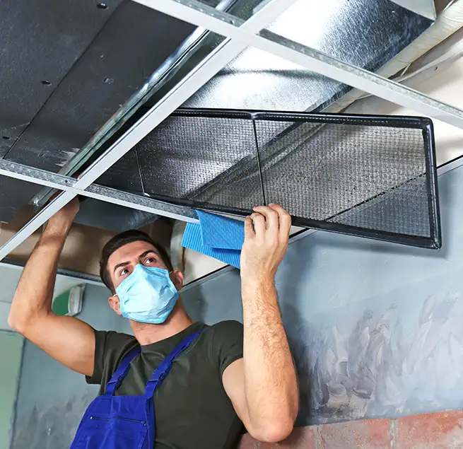 Why Homeowners & Businesses Trust Us in Park Ridge, IL?