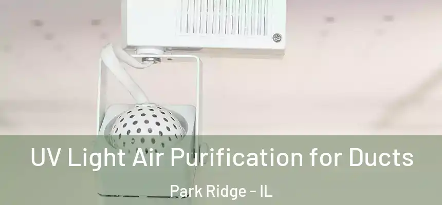  UV Light Air Purification for Ducts Park Ridge - IL
